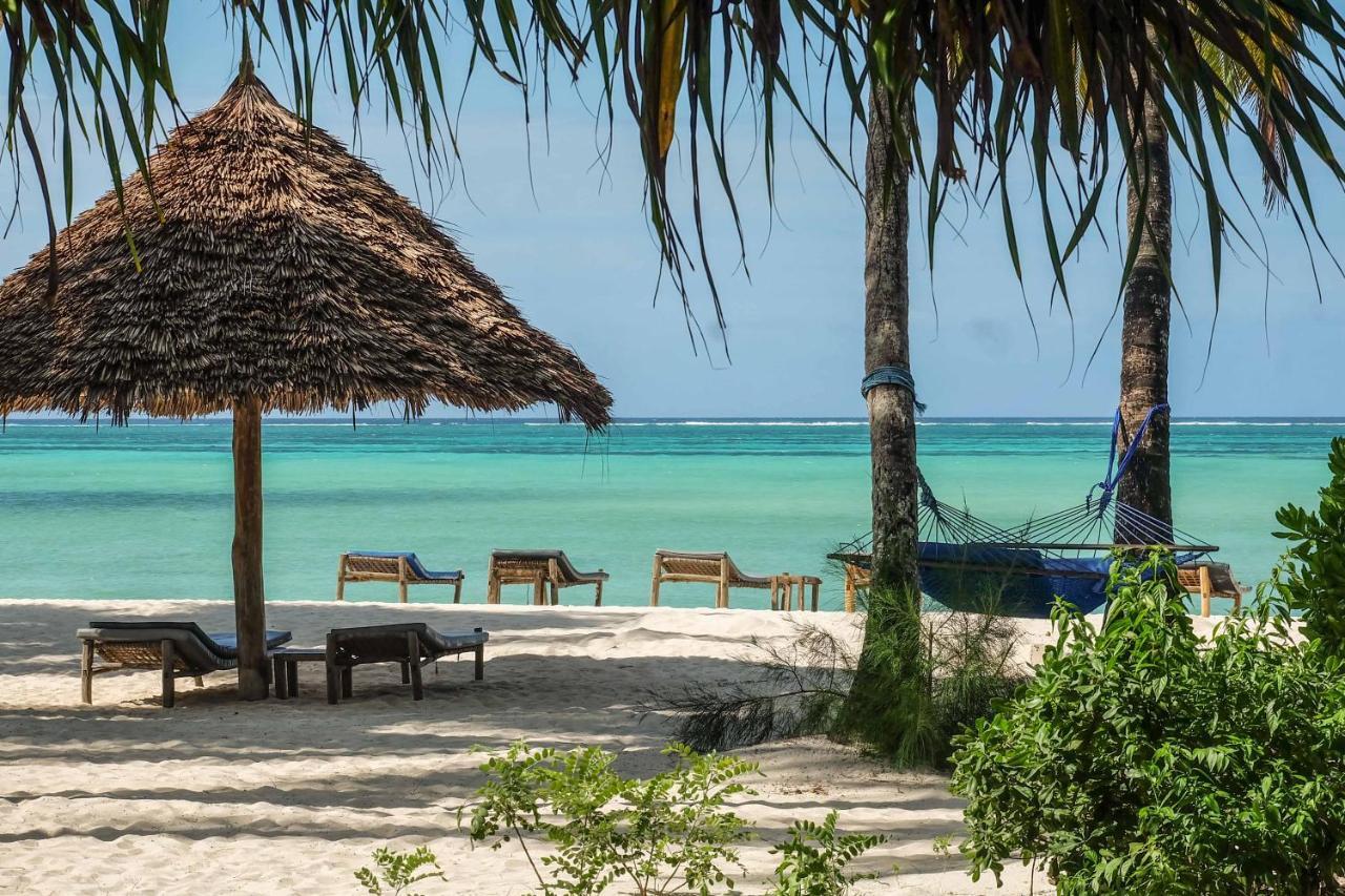 Pongwe Beach Hotel Hotel Pongwe